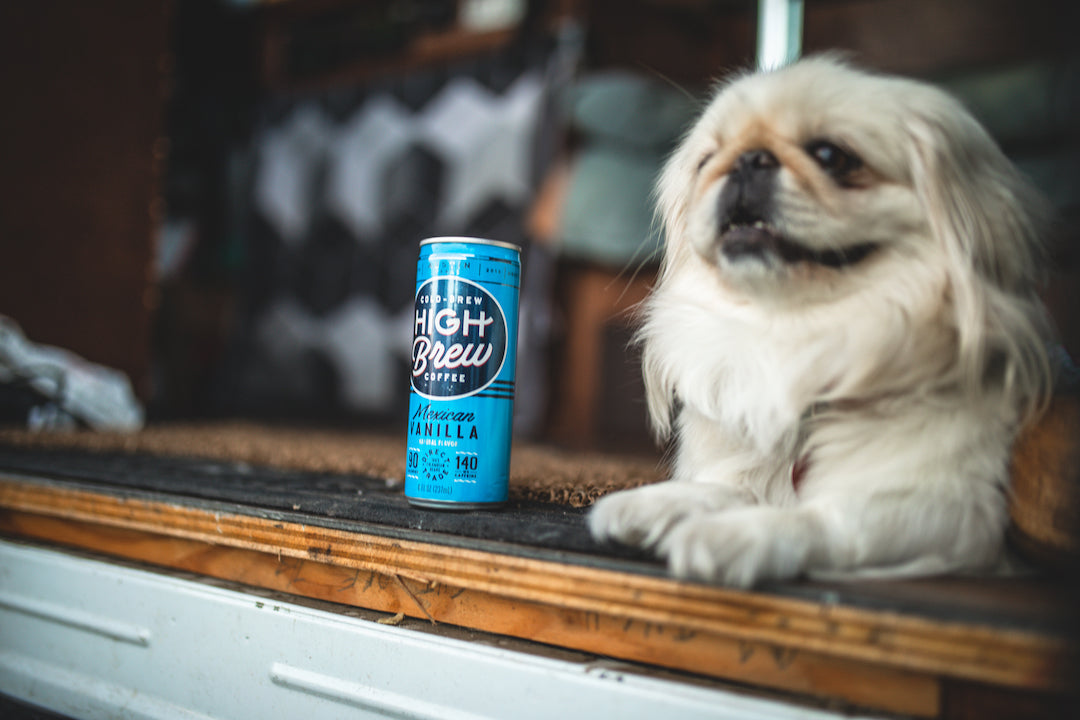 How We Cold Brew